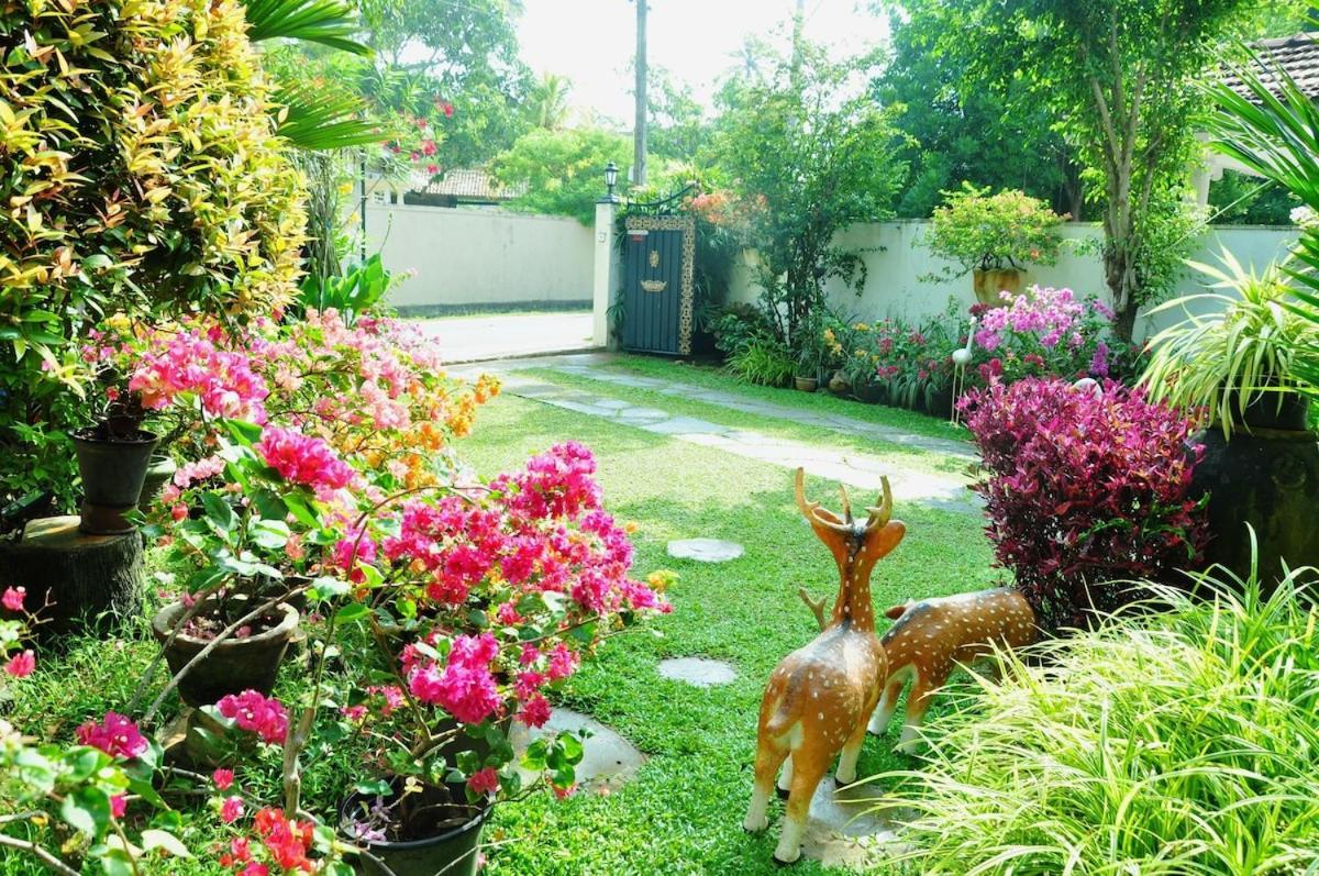 Nh Rest House Mirissa Dış mekan fotoğraf